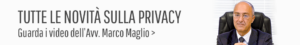 privacy strip 300x45